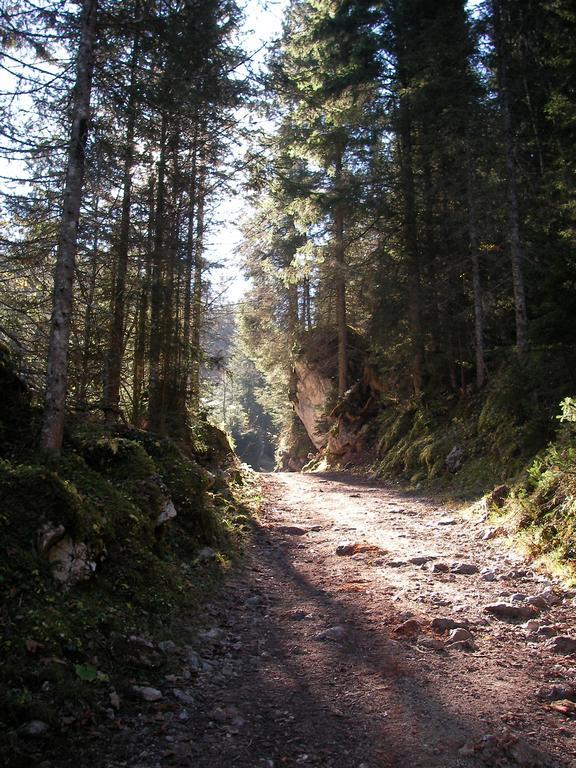 Gaestehaus Attenhauser Unterammergau Exteriér fotografie